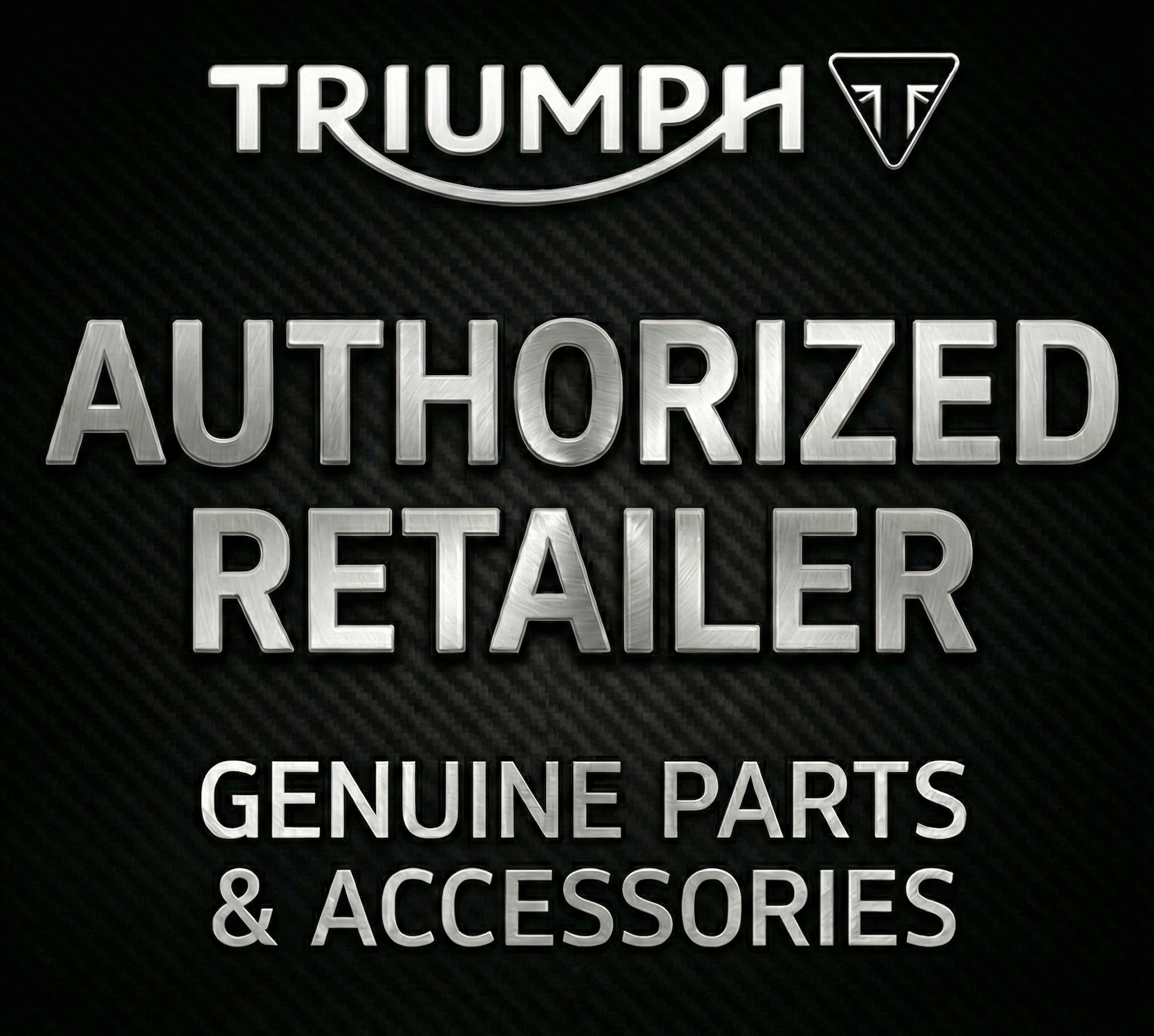 Triumph T2204000 - Genuine OEM Factory Engine Air Filter